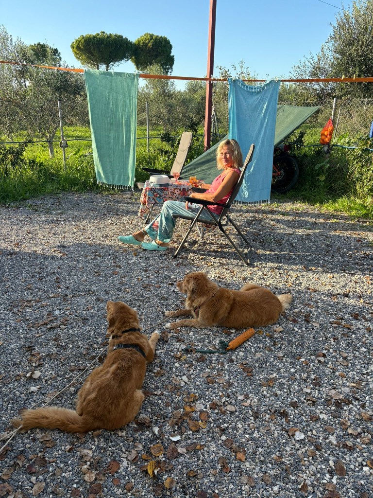 Grillausta odotellen