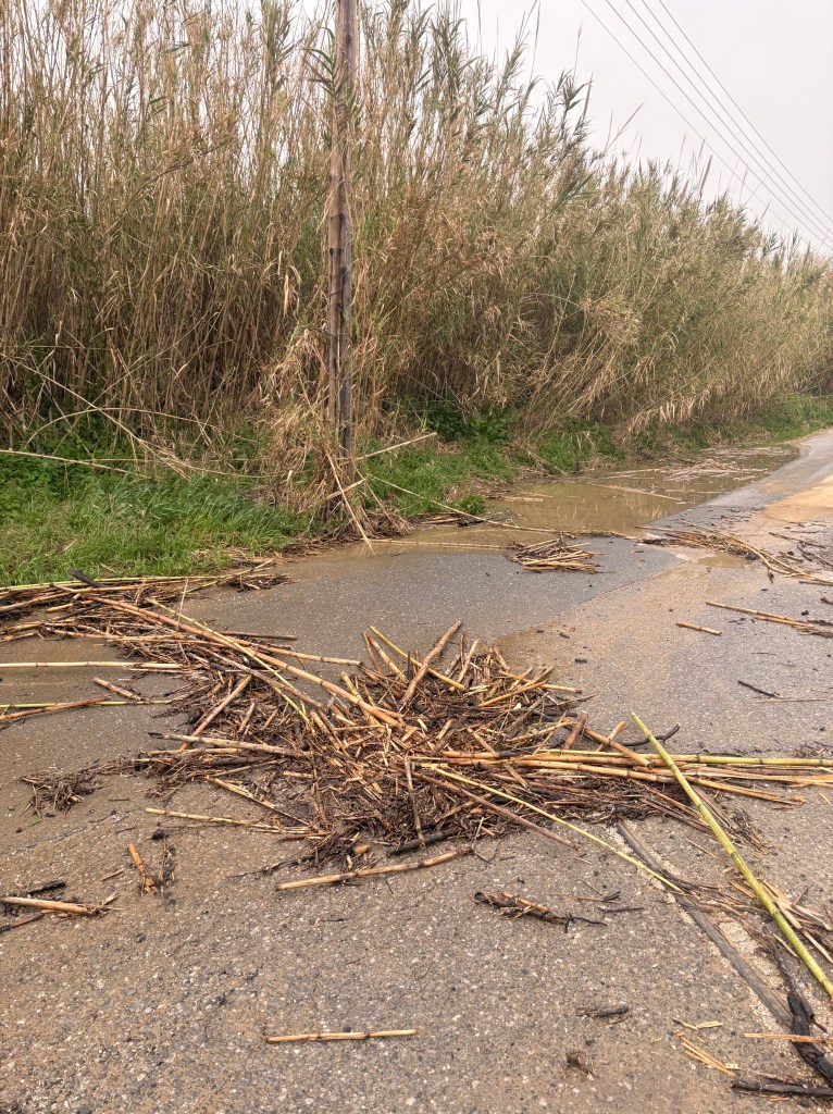 Näkymä portilta vasemmalla